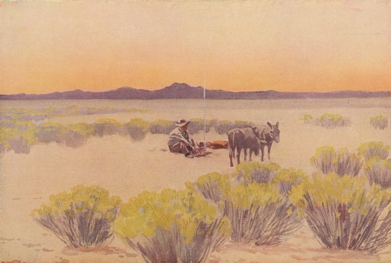 Arizona-Nachglühen von Fernand Lungren