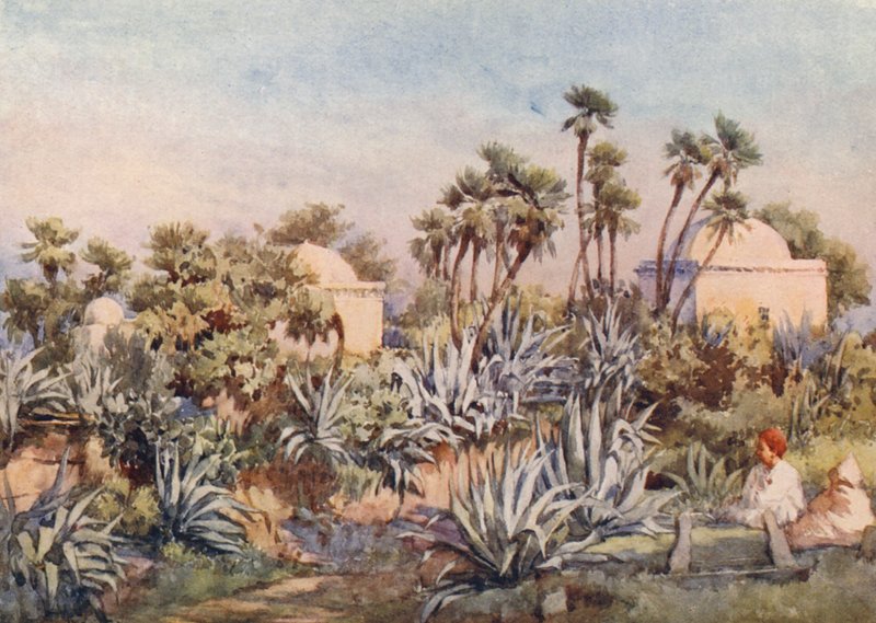 Koubba von Sidi Noumann, Bouzareah von Frances Nesbitt