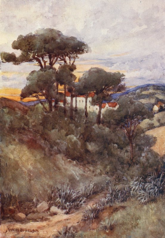 Steinkiefern, Algier von Frances Nesbitt