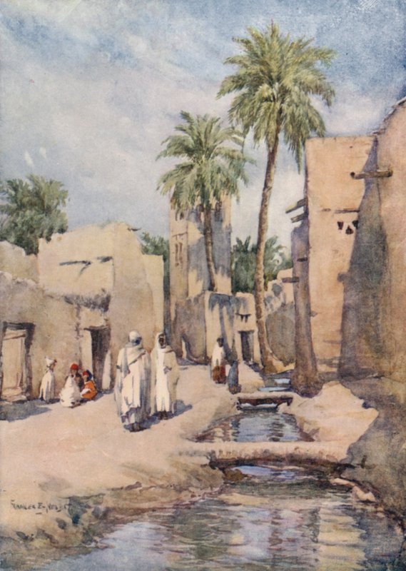 Die Oase von Biskra, Algerien von Frances Nesbitt