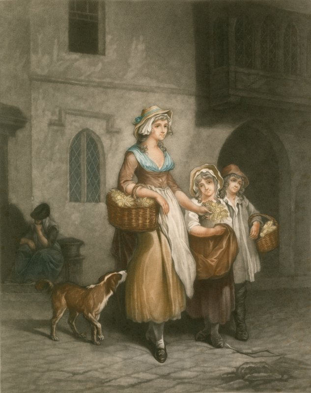 Primeln von Francis Wheatley