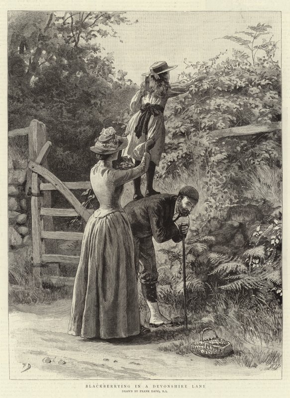 Brombeeren sammeln in einer Devonshire-Gasse von Frank Dadd