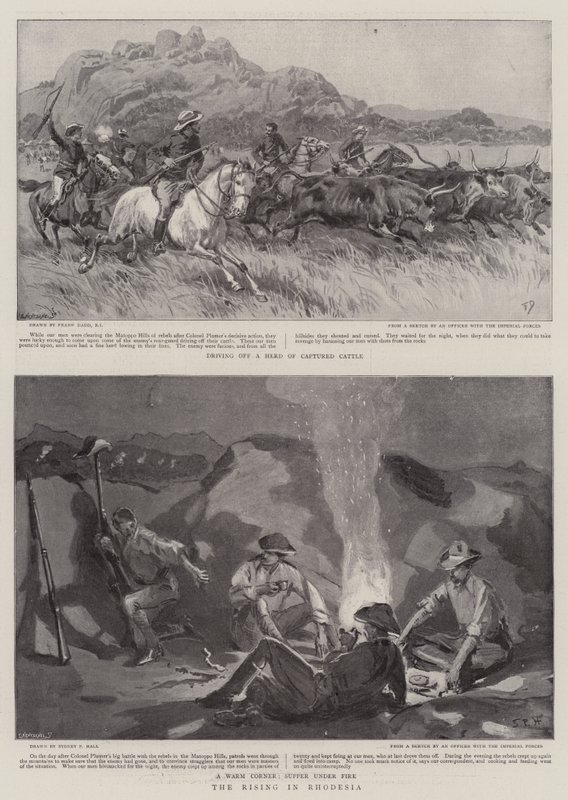 Der Aufstand in Rhodesien von Frank Dadd