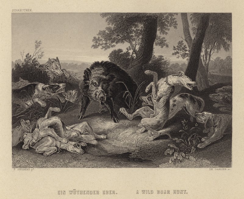 Eine Wildschweinjagd von Frans Snyders or Snijders