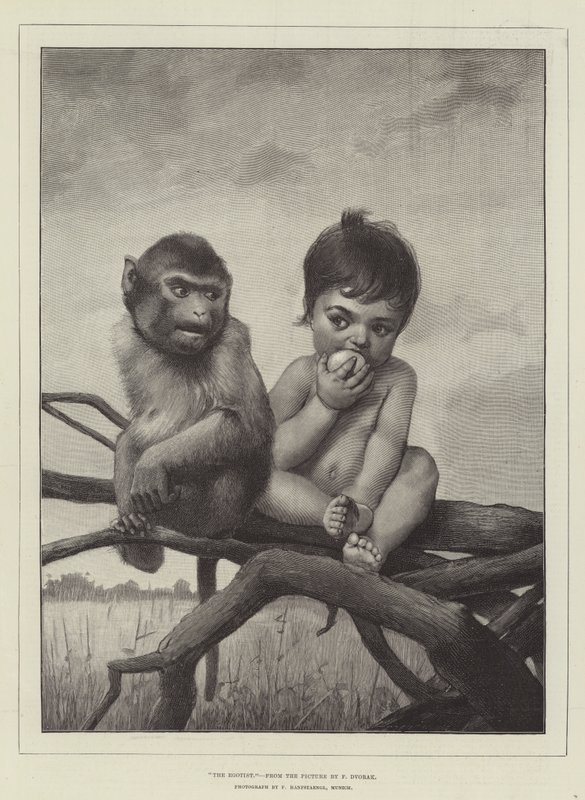 Der Egoist von Franz Dvorak