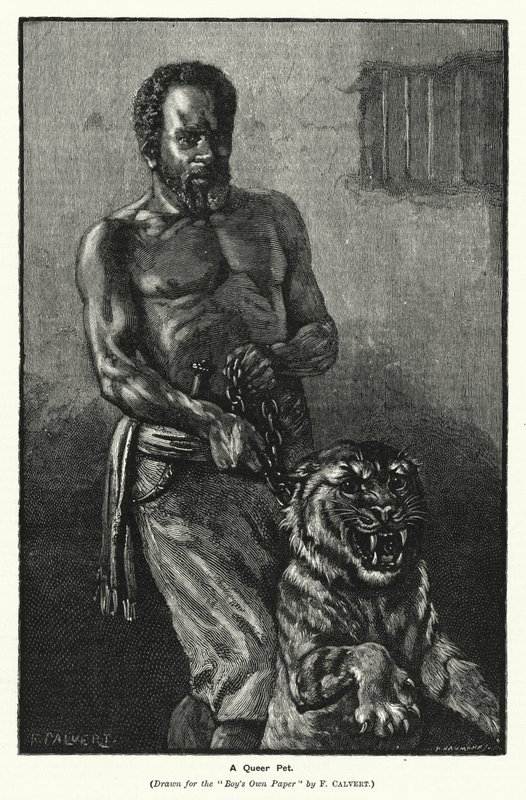 Ein seltsames Haustier von Frederick (after) Calvert