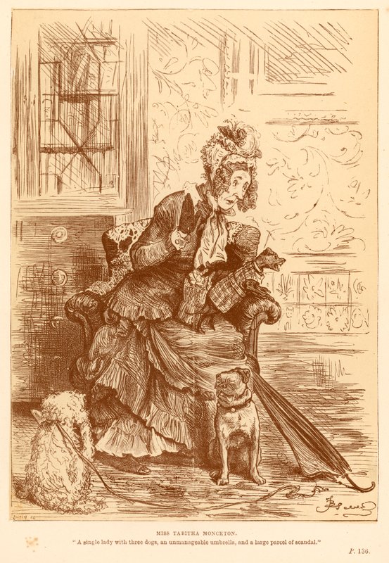 Miss Tabitha Monckton von Frederick Barnard
