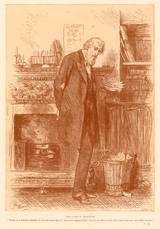 Der Familiensachverständige von Frederick Barnard