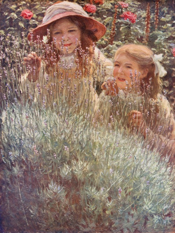 Der Lavendelbusch von Frederick Stead