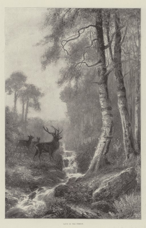 Morgendämmerung im Wald von Frederick William Hayes