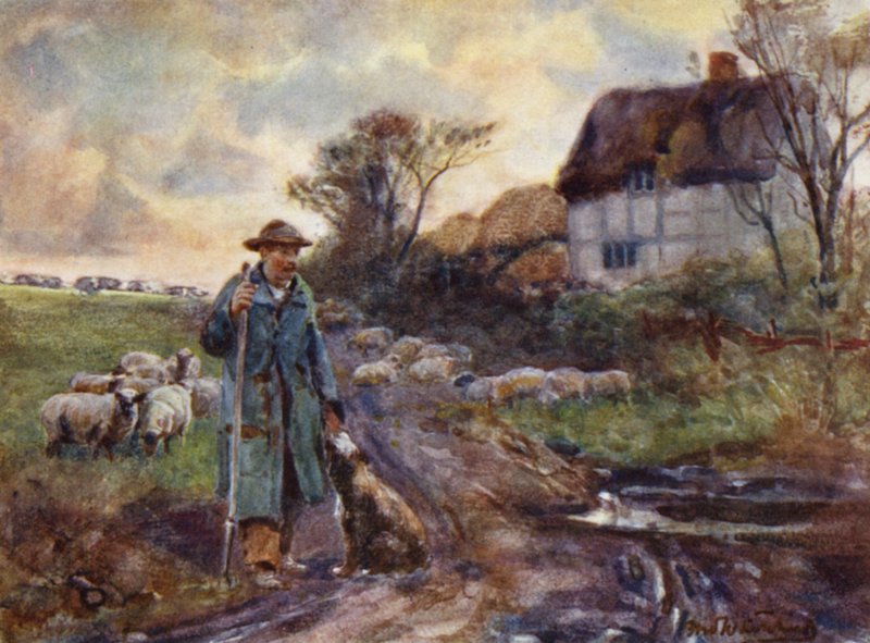 Beggarly Broom von Frederick William Newton Whitehead