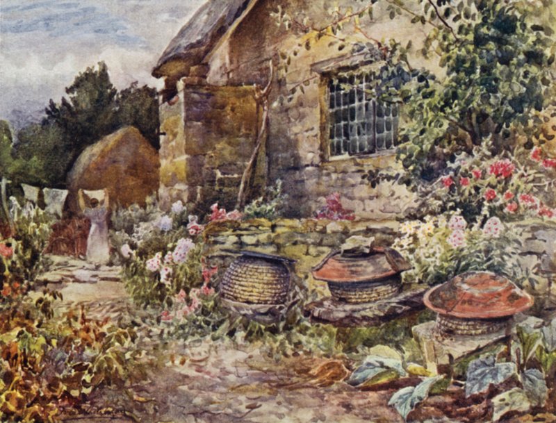 Winderton von Frederick William Newton Whitehead
