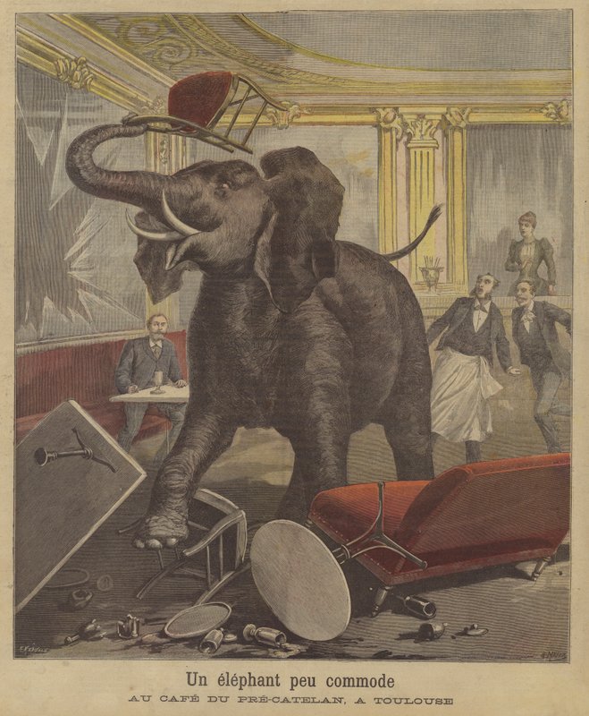 Ein Elefant randaliert in einem Café in Toulouse von French School