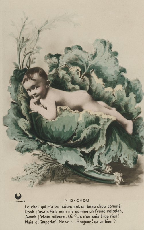 Baby in einem Kohlkopf von French Photographer