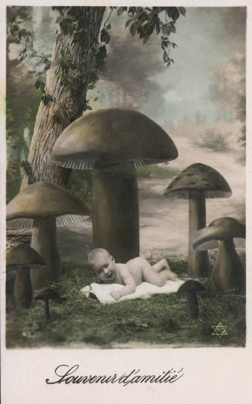 Baby in einem Pilzfeld von French Photographer