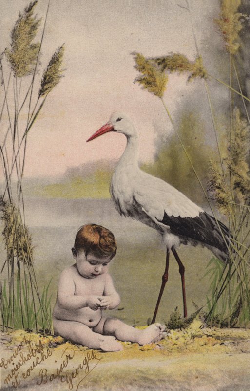Baby mit Storch von French Photographer