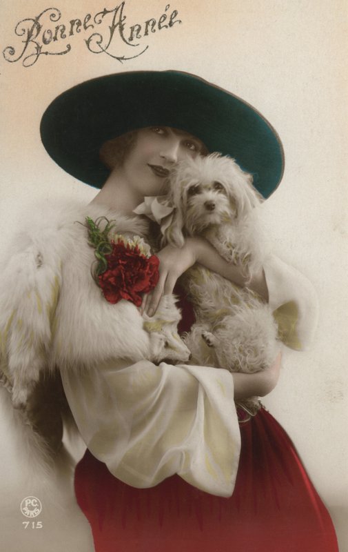 Dame mit kleinem Hund von French Photographer