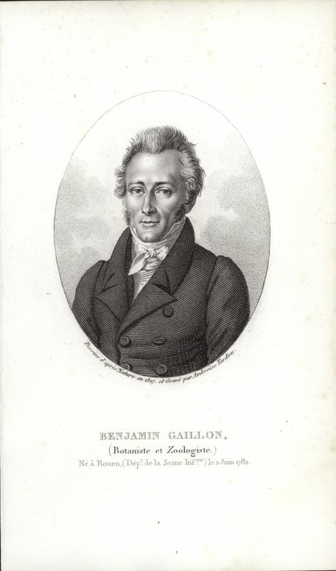 Benjamin Gaillon von French School