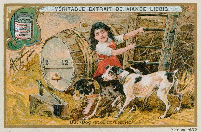 Bulldogge und Foxterrier von French School