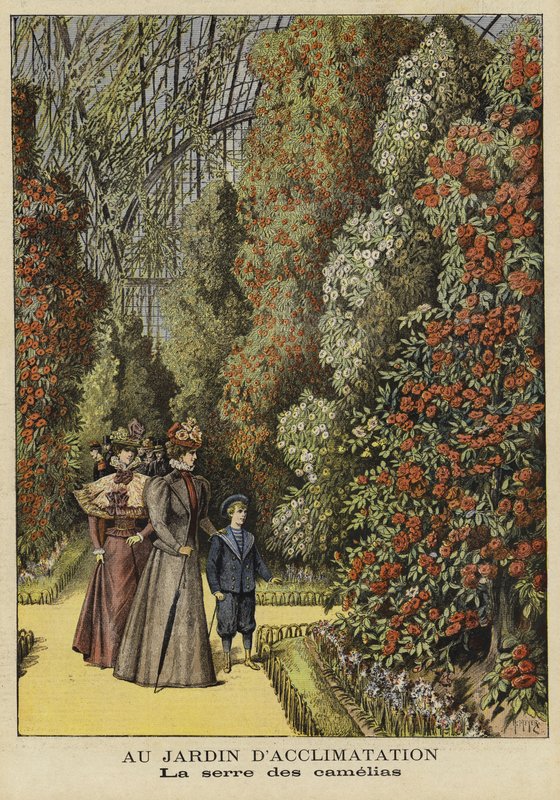 Kameliengewächshaus in einem botanischen Garten von French School