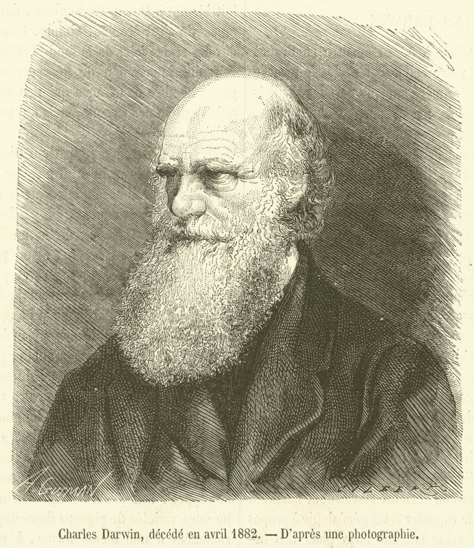 Charles Darwin, decede en avril 1882 von French School
