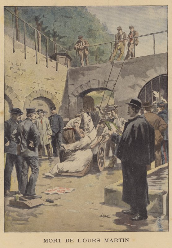 Tod des Eisbären Martin von French School