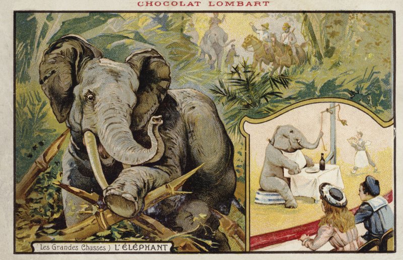 Elefant von French School