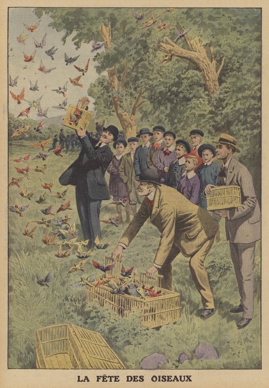 Vogelfest in Belgien von French School