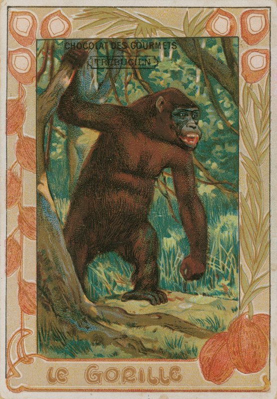 Gorilla von French School
