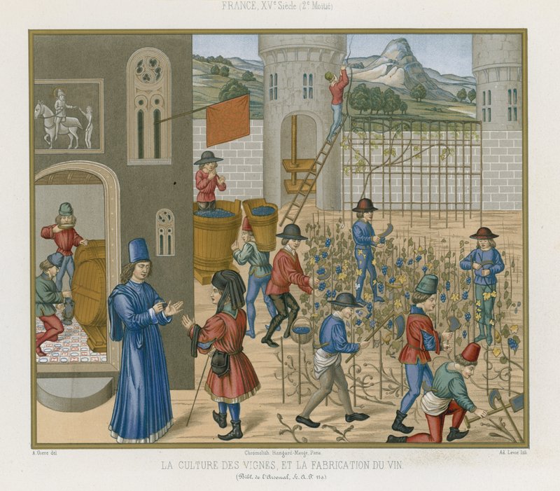 Weinbau und Weinherstellung von French School