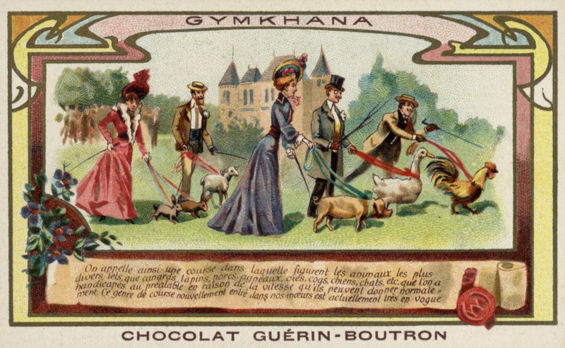 Gymkhana von French School