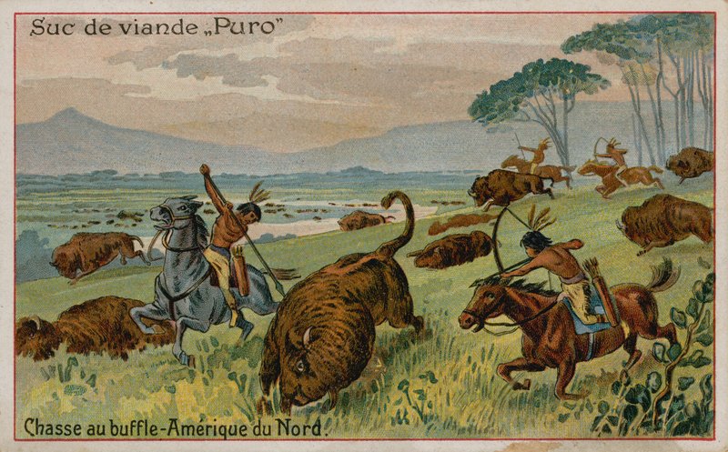 Büffeljagd in Nordamerika von French School