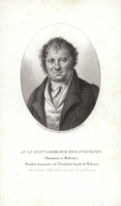 Jean Louis August Loiseleur-Deslongchamps von French School