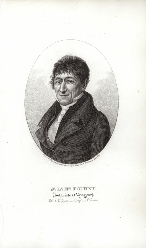 Jean Louis Marie Poiret von French School