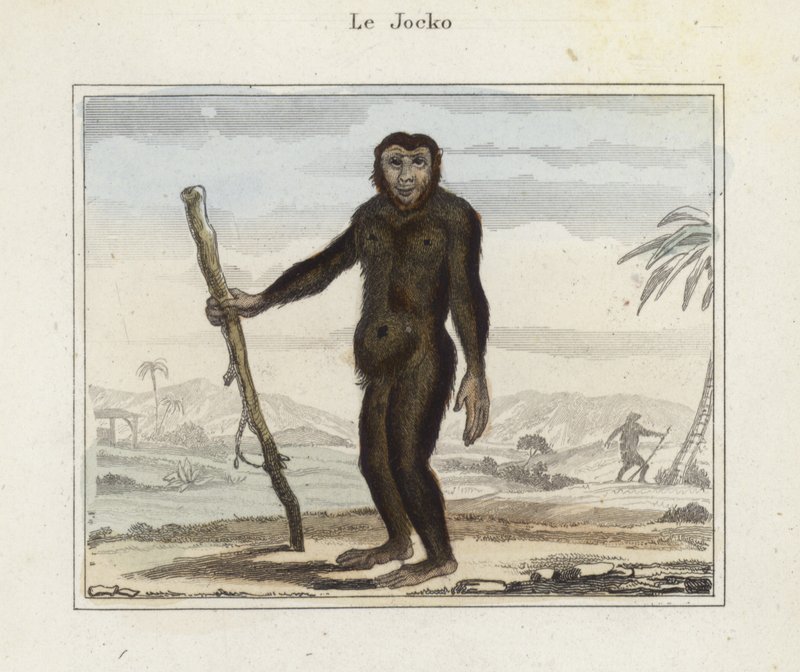 Jocko von French School