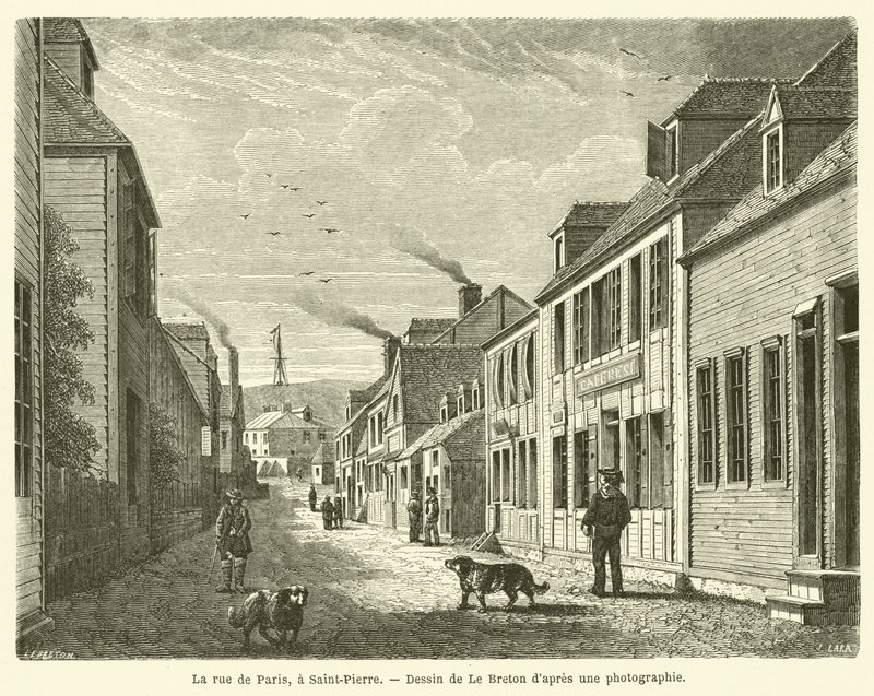 Die Rue de Paris in Saint-Pierre von French School