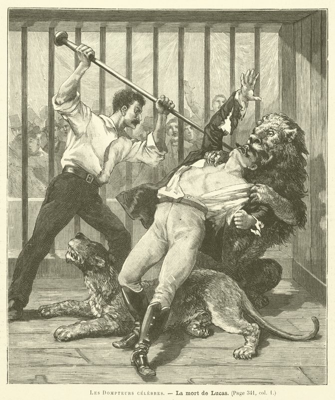 Der Dompteur Lucas von French School