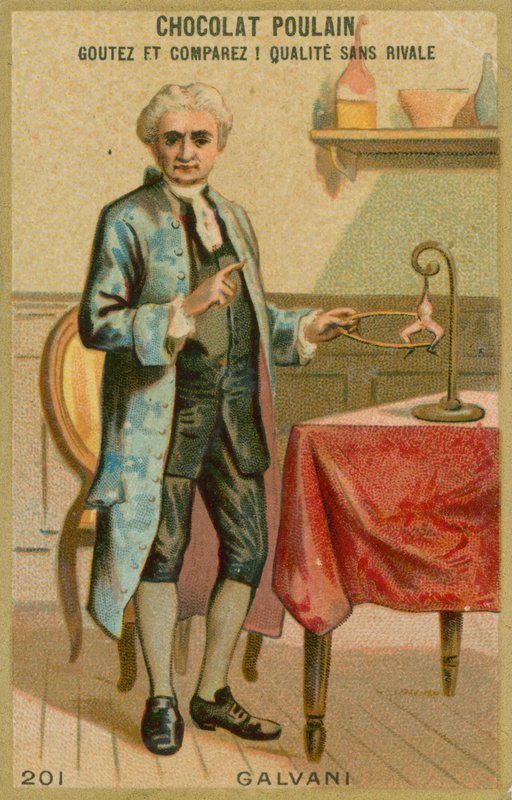 Luigi Galvani von French School