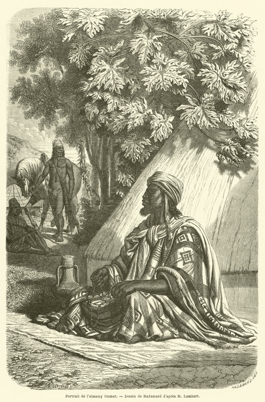 Porträt von Almamy Oumar von French School