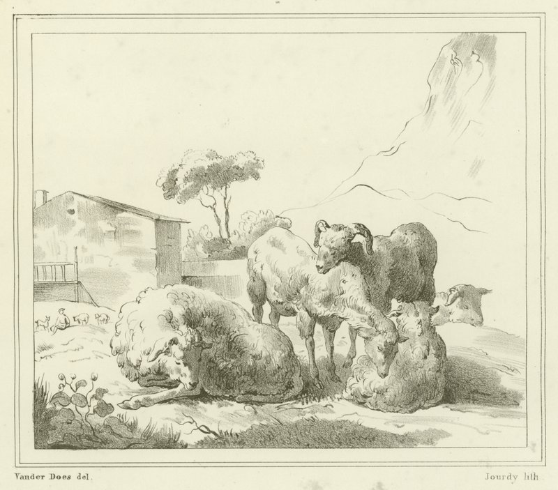 Schafe in einer Landschaft von French School