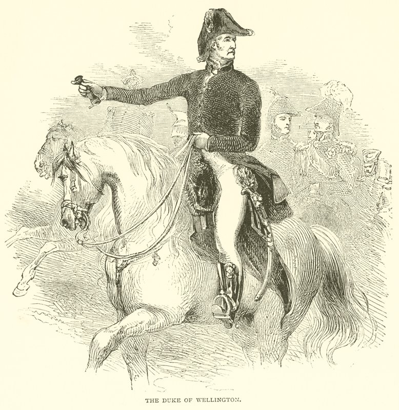 Der Herzog von Wellington (Gravur) von French School