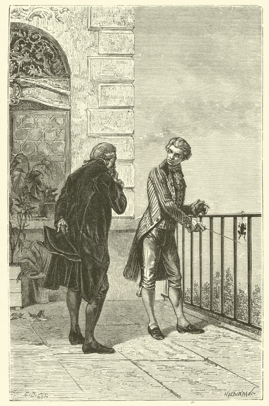 Der Frosch von Galvani von French School
