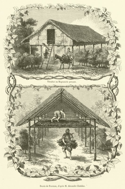 Tilembar ou Magnanerie persane von French School
