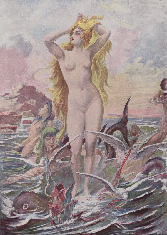 Venus Anadyomene von French School