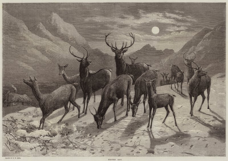 Ausgefroren von Friedrich Wilhelm Keyl