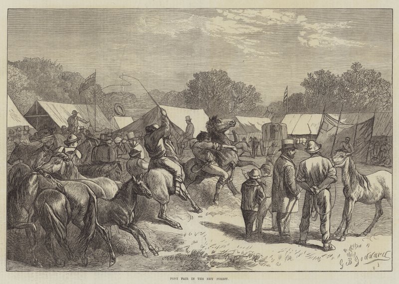 Pony-Messe im New Forest von George Bouverie Goddard