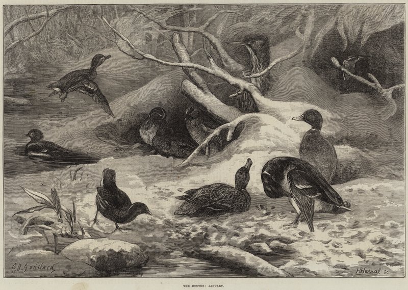 Die Monate, Januar von George Bouverie Goddard