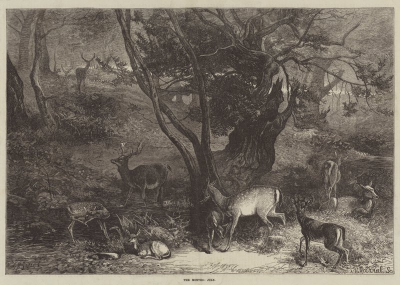 Die Monate, Juli von George Bouverie Goddard