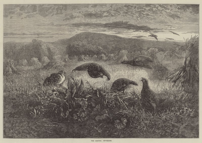 Die Monate, September von George Bouverie Goddard