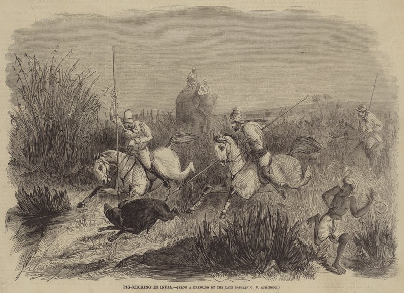 Schweinejagd in Indien von George Francklin Atkinson